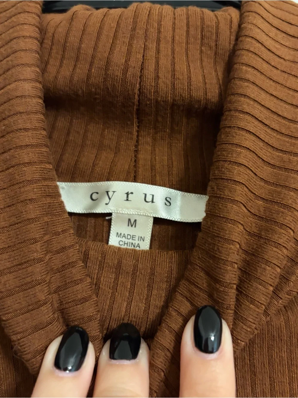 Cyrus Ribbed Turtleneck Top - Rust Brown - Picture 2 of 3